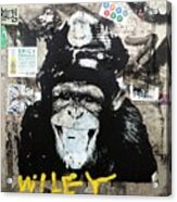 Meet Wiley In New York Acrylic Print
