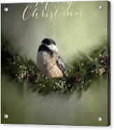 Merry Christmas Chicadee 1 Acrylic Print