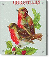 Merry Christmas Snowy Bird Couple Acrylic Print