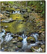Middle Prong Of Little River Acrylic Print