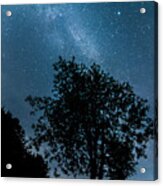 Milky Way Trees Acrylic Print