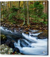 Mill Creek In Fall #2 Acrylic Print