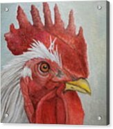 Mister Rooster Acrylic Print