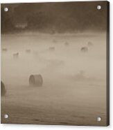 Misty Hay Bales Acrylic Print