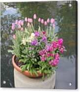 Mixed Flower Planter Acrylic Print