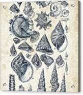Mollusks - 1842 - 16 Acrylic Print