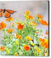 Monarch Butterfly In The Flowers Acrylic Print
