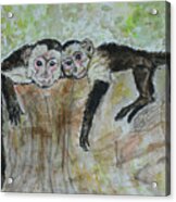 Monkey Sibling Love Acrylic Print