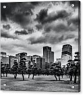 Monochrome Tokyo Acrylic Print