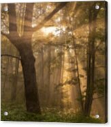 Morning God Rays Acrylic Print