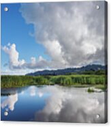 Morning Reflections On A Marsh Pond Acrylic Print