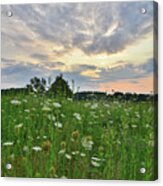 Morning Sky Over Pleasant Valley Acrylic Print