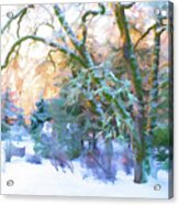 Winter Wonderland Acrylic Print