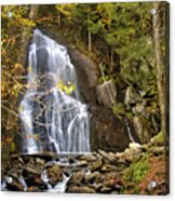 Moss Glen Falls Acrylic Print