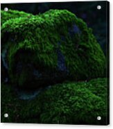 Moss Acrylic Print