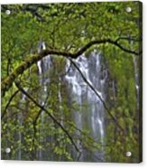 Mossbrae Falls Acrylic Print