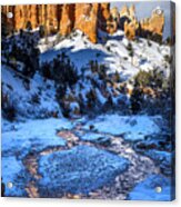 Mossy Cave Castle In Snow Acrylic Print