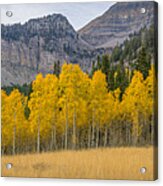 Mount Timpanogos Meadow In Fall Acrylic Print