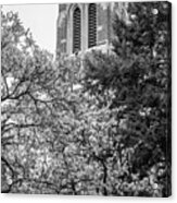 Msu Beaumont Tower Black And White 3 Acrylic Print