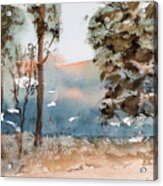 Mt Field Gum Tree Silhouettes Against Salmon Coloured Mountains Acrylic Print