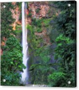 Multnomah Falls Portland Oregon Acrylic Print