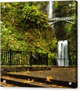 Multnomah Falls,oregon Acrylic Print