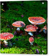 Mushroom Poisoning Acrylic Print