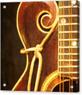 Music - Instrument - Mandolin Acrylic Print