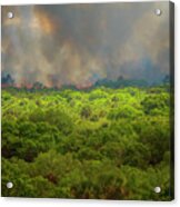 Myakka River Burn Acrylic Print