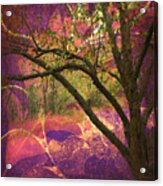 Mystic Forest Acrylic Print