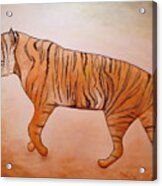 Mystic Tiger Acrylic Print