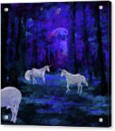 Mystical Moonlight Acrylic Print