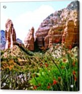 Mystical Red Rocks - Sedona, Arizona Acrylic Print