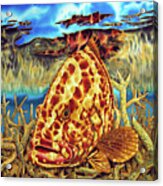 Nassau Grouper And Staghorn Coral Acrylic Print