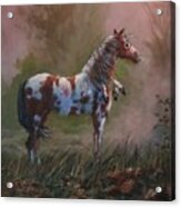 Native American War Pony Acrylic Print