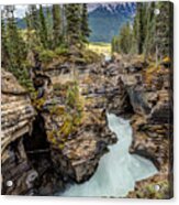 Natural Flow Of Athabasca Falls Acrylic Print