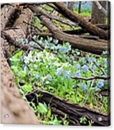 Natural Flowerbed Acrylic Print