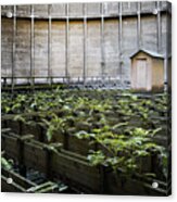 Nature Takes Back - Inside Cooling Tower Acrylic Print