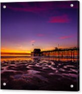 Newport Pier Sunset Acrylic Print