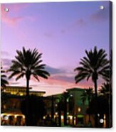 Night On The Town Palm Beach Florida Photo 515 Acrylic Print