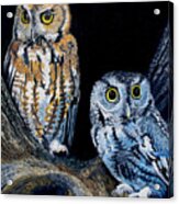 Night Owls Acrylic Print