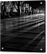 Night Shadows Acrylic Print