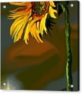 Night Sunflower Acrylic Print