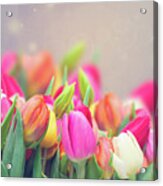 Tulips In My Garden Acrylic Print