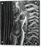 Nude Woman Xi - Negative Effect Acrylic Print