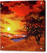 Oak Tree In Red Sunset Acrylic Print