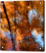 October Reflection Acrylic Print