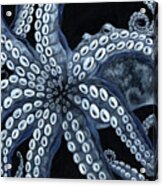 Octopoda Acrylic Print