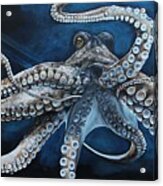 Octopus Acrylic Print