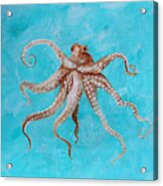 Octopus Acrylic Print